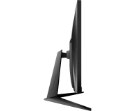MSI G2712 - 1123935 - zdjęcie 6